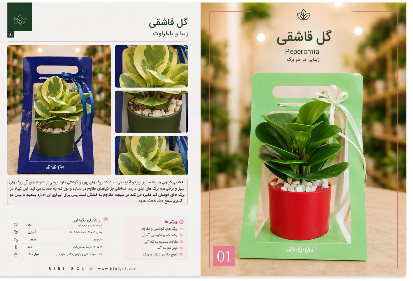 صفحه 2 کاتالوگ BiBiGol