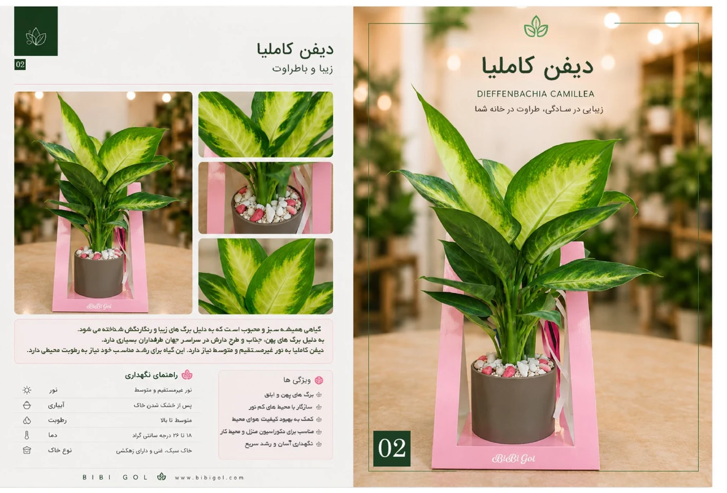 صفحه 3 کاتالوگ BiBiGol