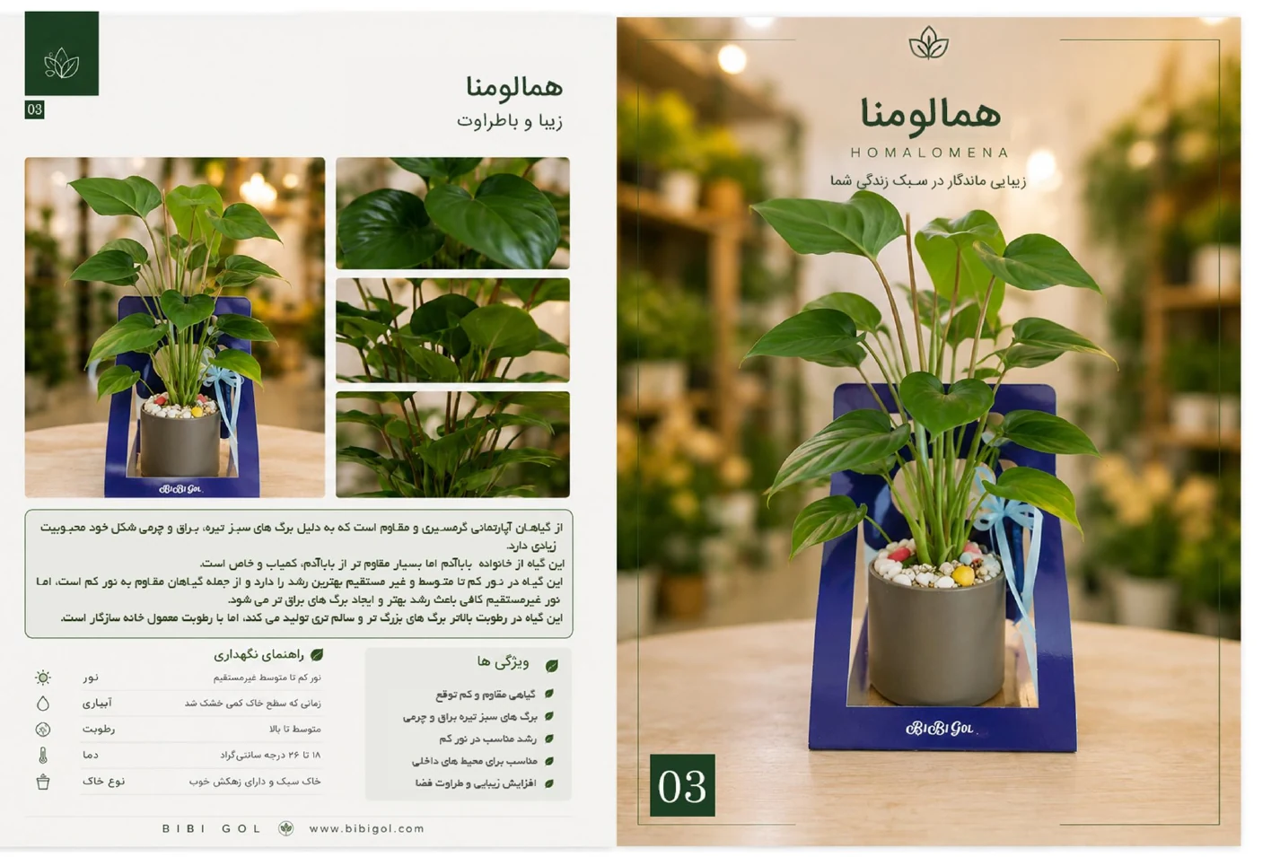 صفحه 4 کاتالوگ BiBiGol