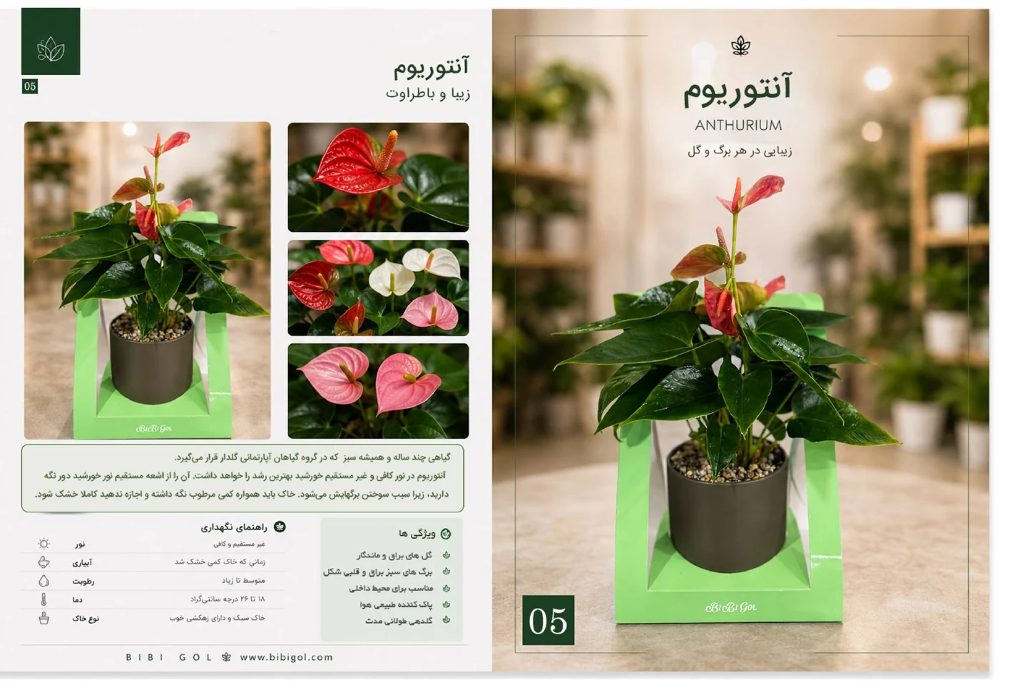 صفحه 6 کاتالوگ BiBiGol