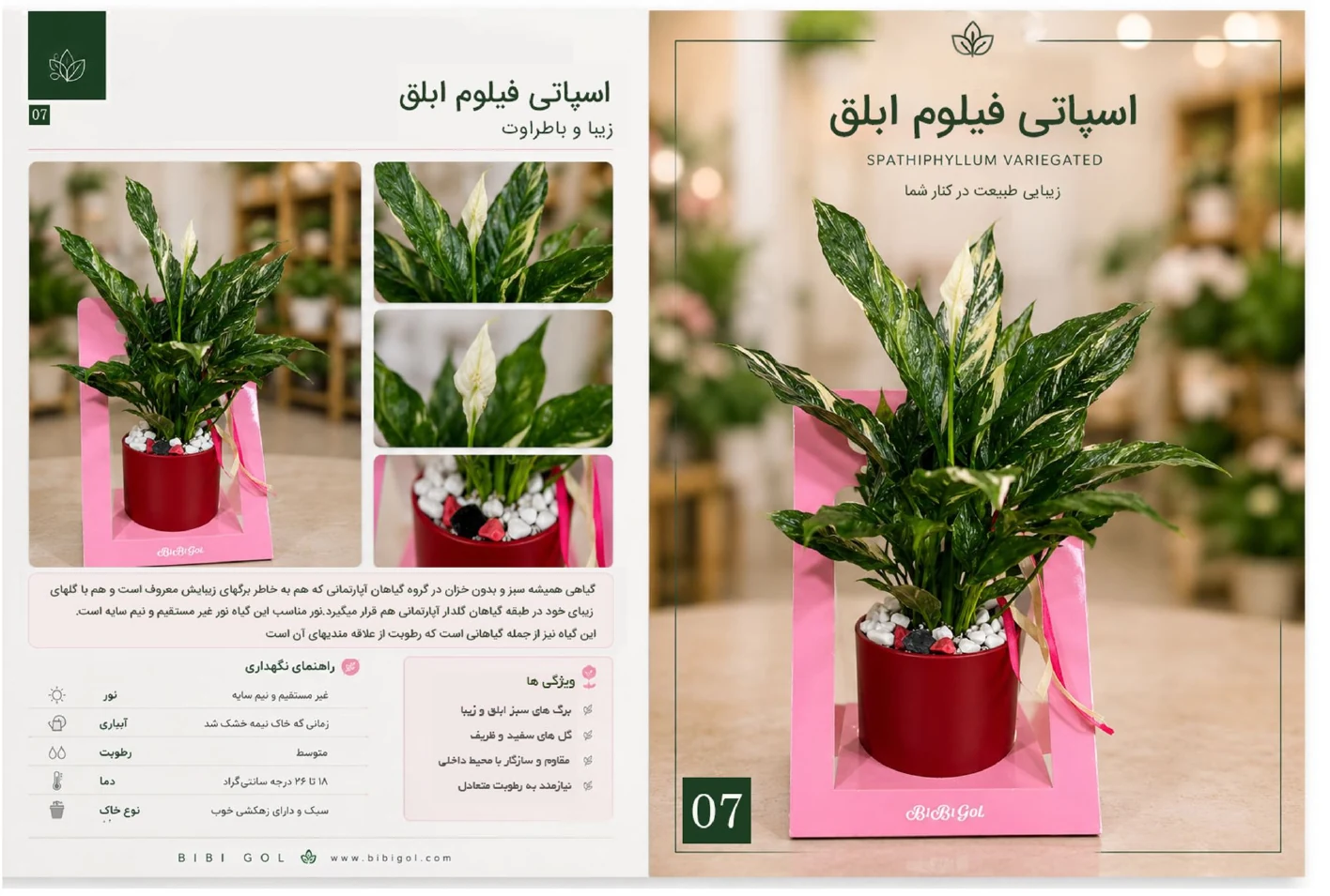 صفحه 8 کاتالوگ BiBiGol