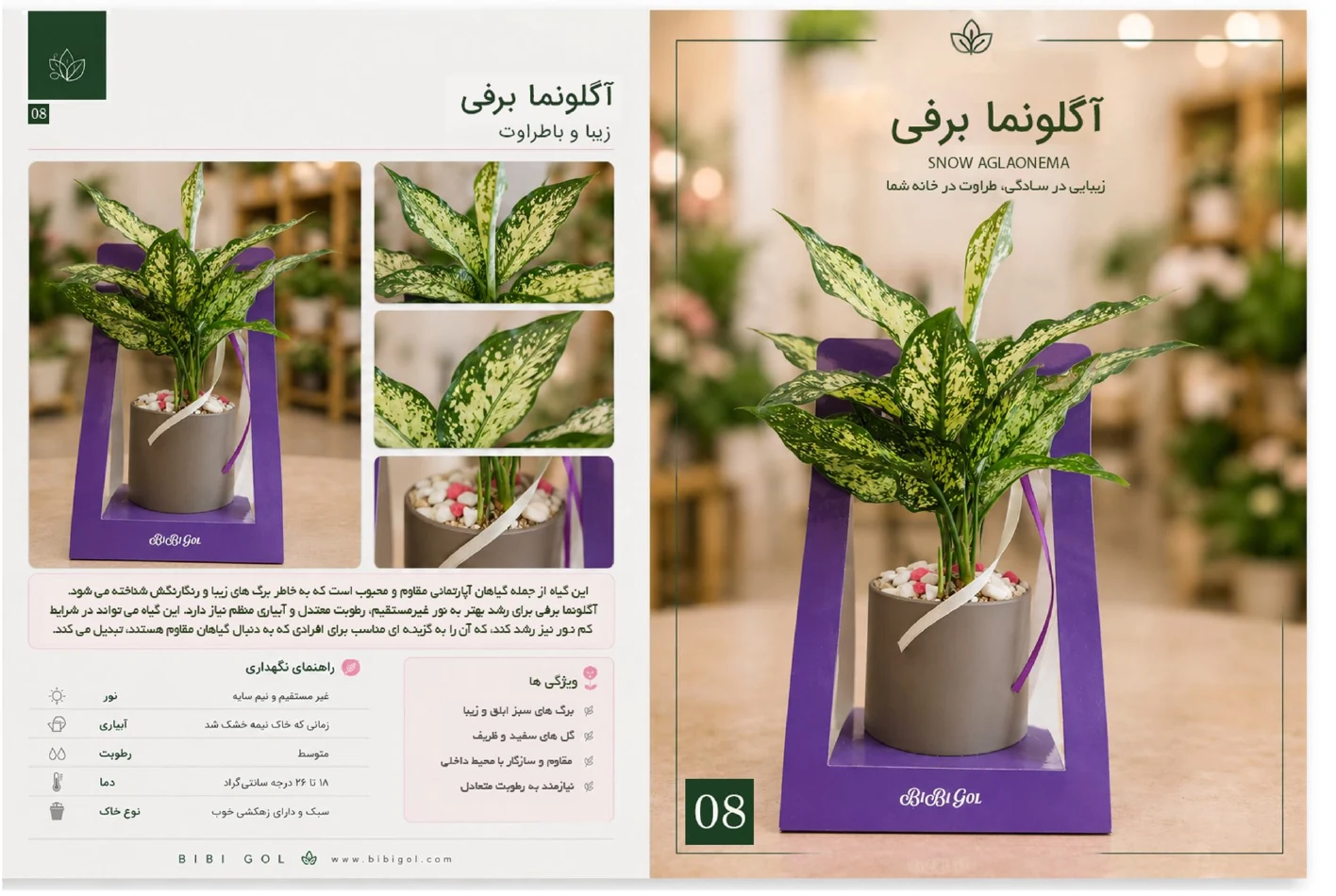 صفحه 9 کاتالوگ BiBiGol