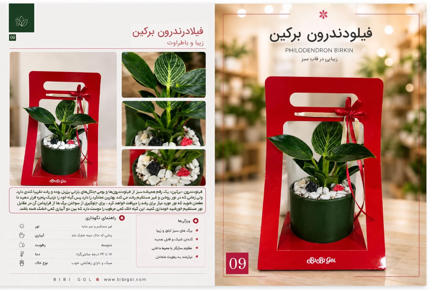 صفحه 10 کاتالوگ BiBiGol